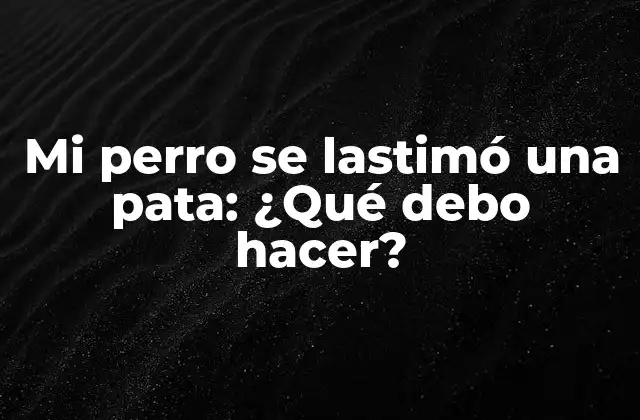 Mi Perro Se Lastimó una Pata: ¿qué Debo Hacer?