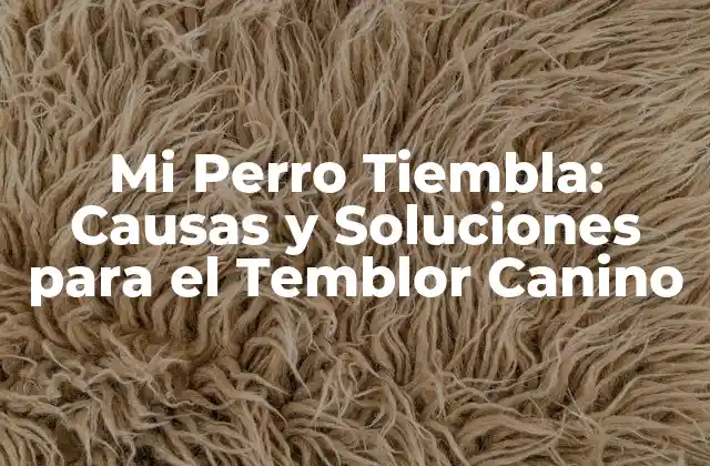 Mi Perro Tiembla: Causas y Soluciones para el Temblor Canino