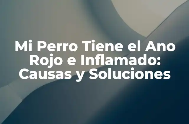 Mi Perro Tiene el Ano Rojo e Inflamado: Causas y Soluciones