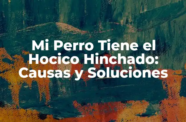 Mi Perro Tiene el Hocico Hinchado: Causas y Soluciones