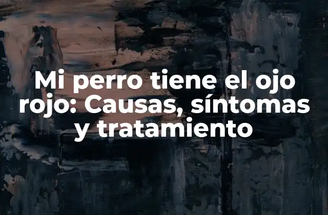Mi Perro Tiene el Ojo Rojo: Causas, Síntomas y Tratamiento