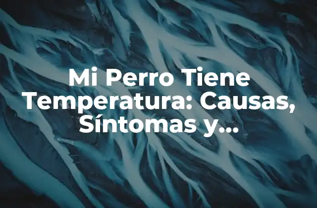 Mi Perro Tiene Temperatura: Causas, Síntomas y Tratamiento 2 Causas de la Temperatura en Perros