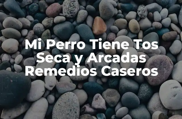 ¿Cuáles son las Causas de la Tos Seca y las Arcadas en Perros?
