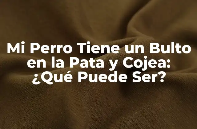 Mi Perro Tiene un Bulto en la Pata y Cojea: ¿qué Puede Ser?