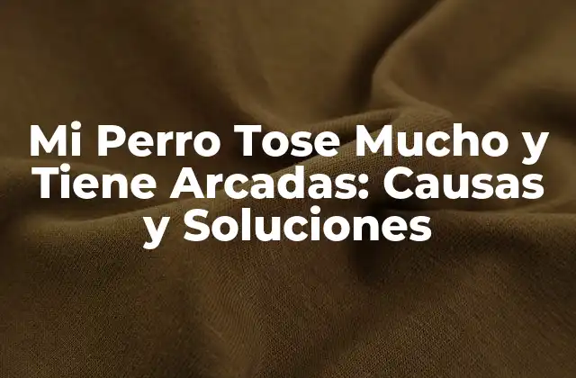 Mi Perro Tose Mucho y Tiene Arcadas: Causas y Soluciones