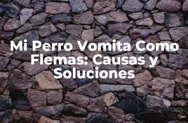 Mi Perro Vomita como Flemas: Causas y Soluciones