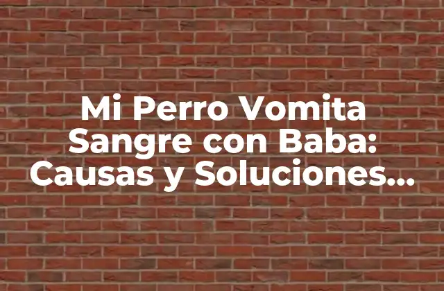 Mi Perro Vomita Sangre con Baba: Causas y Soluciones para el Problema