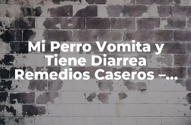Mi Perro Vomita y Tiene Diarrea Remedios Caseros – Soluciones Naturales