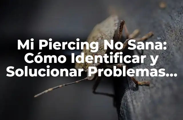 Mi Piercing No Sana: Cómo Identificar y Solucionar Problemas de Salud en Piercings