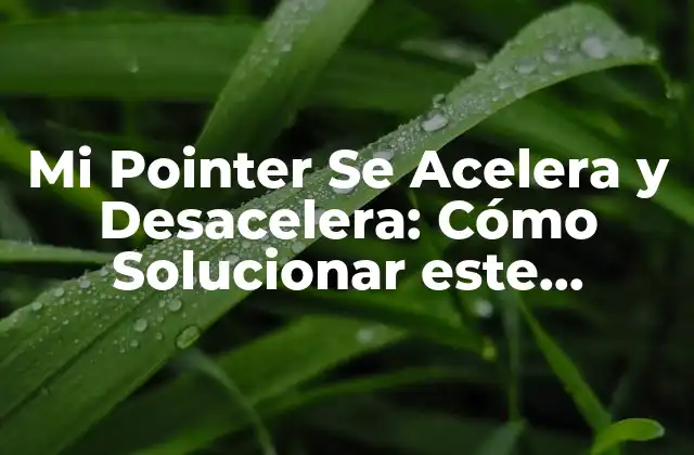 Mi Pointer Se Acelera y Desacelera: Cómo Solucionar Este Problema Común de Mouse