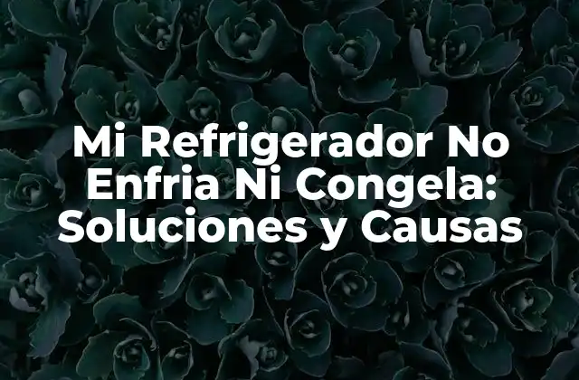 Mi Refrigerador No Enfria ni Congela: Soluciones y Causas