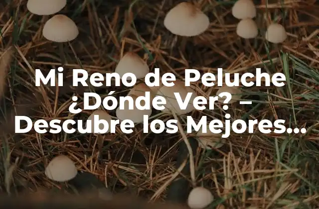Mi Reno de Peluche ¿dónde Ver? – Descubre los Mejores Lugares