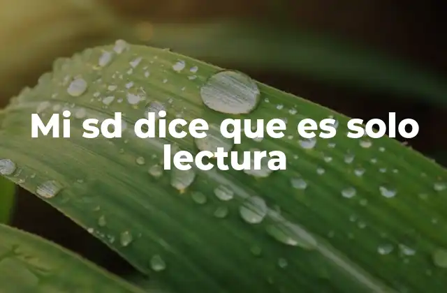 Mi Sd Dice que es Solo Lectura