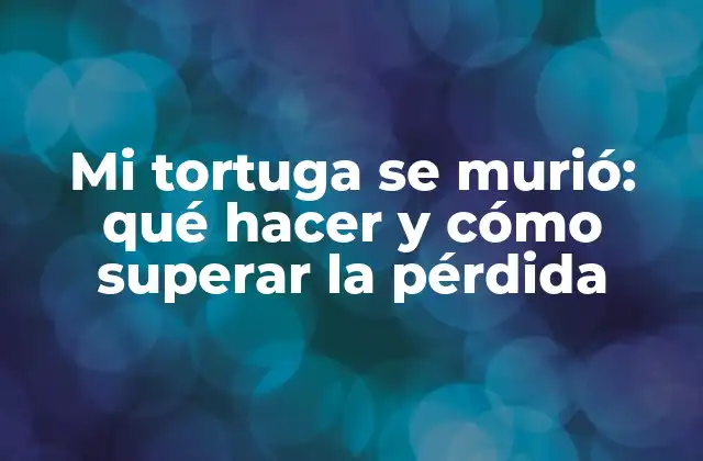 Identificar los signos de envejecimiento y enfermedad en tortugas