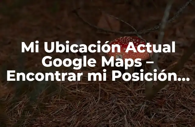 Cómo Funciona Mi Ubicación Actual Google Maps