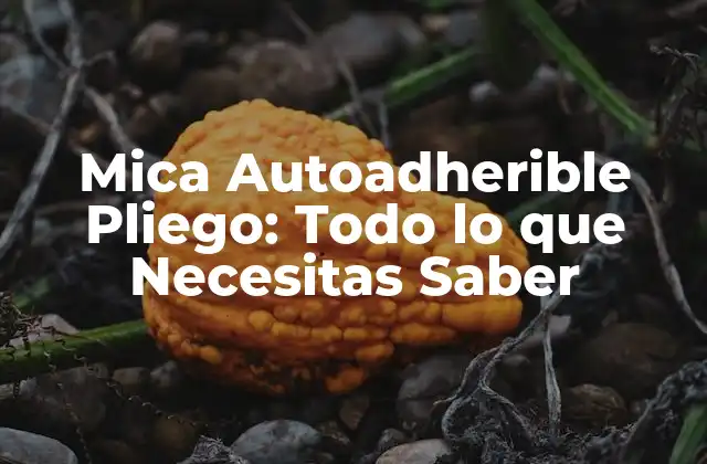 Mica Autoadherible Pliego: Todo Lo que Necesitas Saber