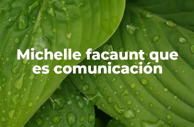 Michelle Facaunt que es Comunicación