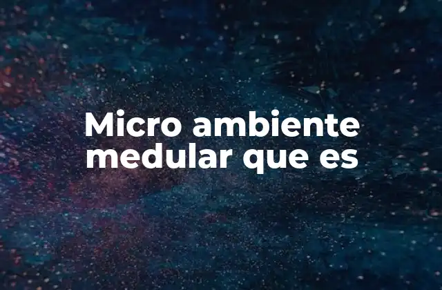 Micro Ambiente Medular que es