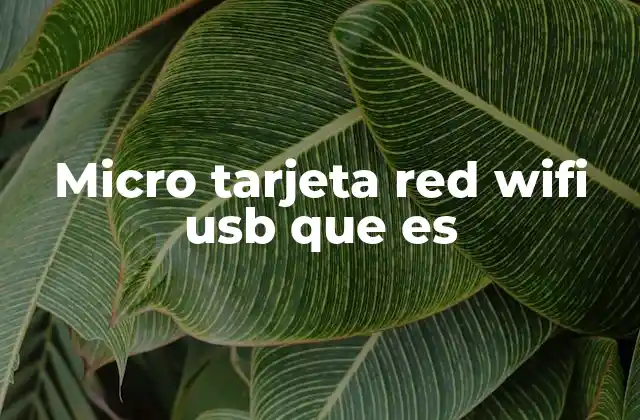 Micro Tarjeta Red Wifi Usb que es