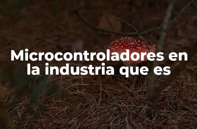 Microcontroladores en la Industria que es