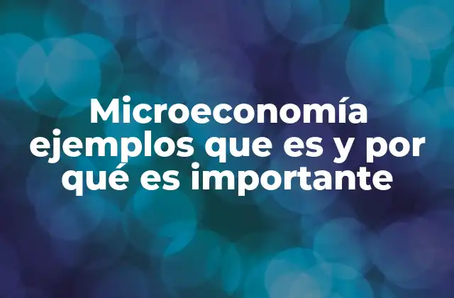 Microeconomía Ejemplos que es y por Qué es Importante