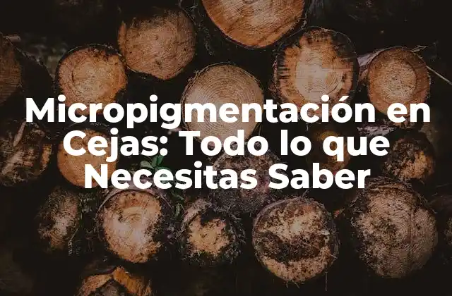 Micropigmentación en Cejas: Todo Lo que Necesitas Saber