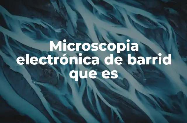 Cómo funciona la microscopía electrónica de barrido