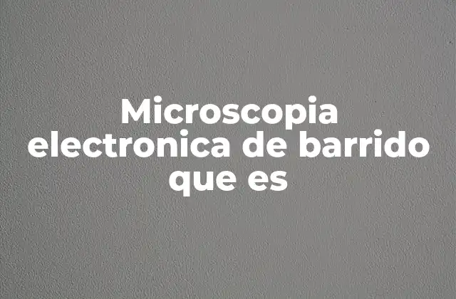Microscopia Electronica de Barrido que es