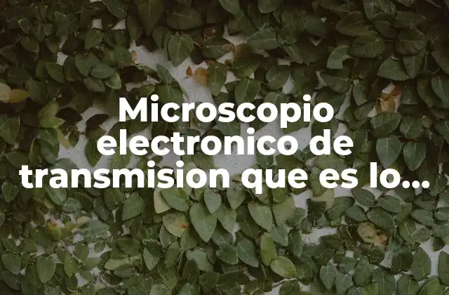Microscopio Electronico de Transmision que es Lo que Permite Ver