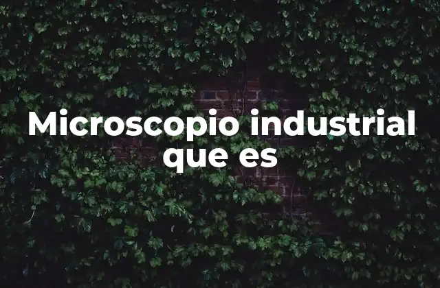 Microscopio Industrial que es
