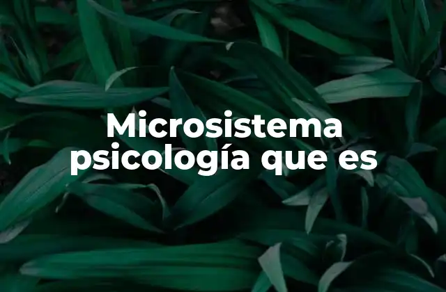 Microsistema Psicología que es 2 La importancia del entorno inmediato en el desarrollo humano