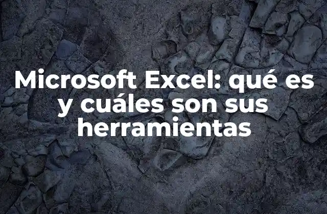 Microsoft Excel: Qué es y Cuáles Son Sus Herramientas