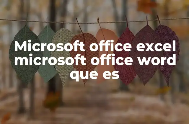 Microsoft Office Excel Microsoft Office Word que es 2 La importancia de Excel y Word en la productividad moderna