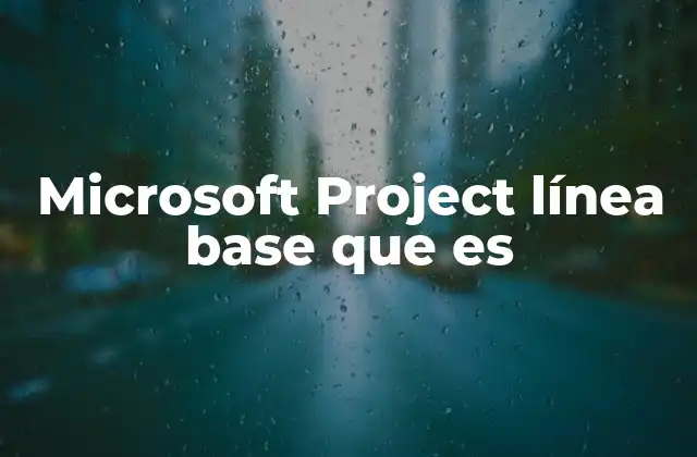 Microsoft Project Línea Base que es