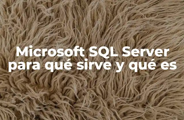 Microsoft Sql Server para Qué Sirve y Qué es