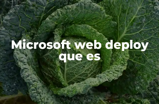 Microsoft Web Deploy que es