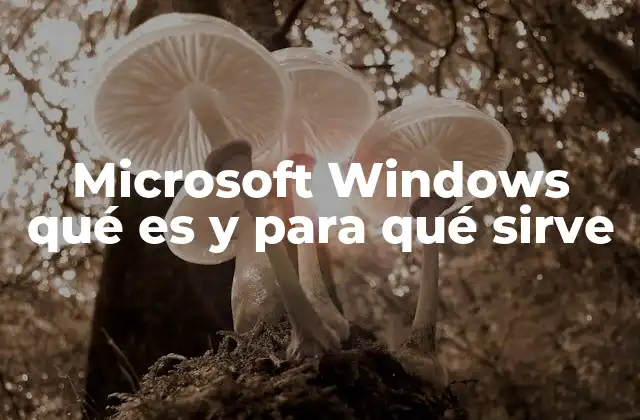 Microsoft Windows Qué es y para Qué Sirve 2 Cómo Windows transformó la experiencia del usuario en el mundo tecnológico