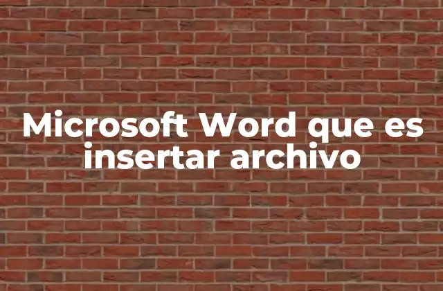 Microsoft Word que es Insertar Archivo