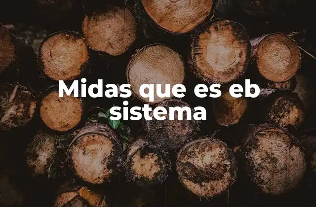 Midas que es Eb Sistema