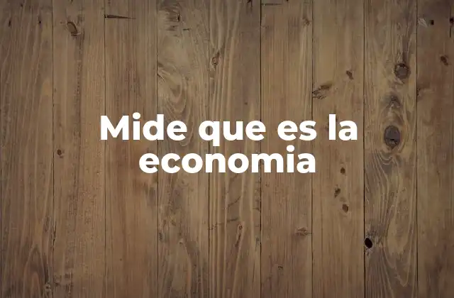 Mide que es la Economia