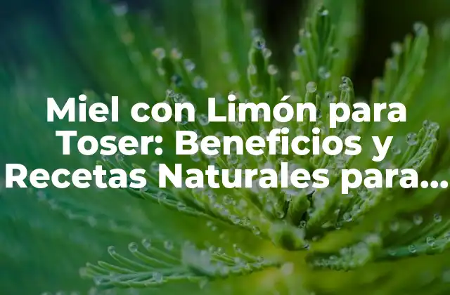 Miel con Limón para Toser: Beneficios y Recetas Naturales para la Salud