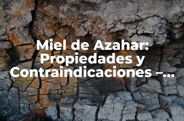 Miel de Azahar: Propiedades y Contraindicaciones – Todo Lo que Necesitas Saber