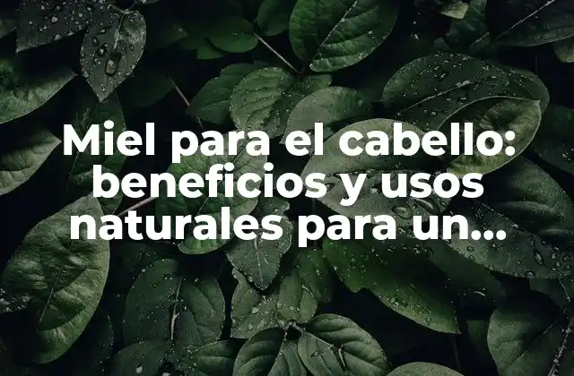 Miel para el Cabello: Beneficios y Usos Naturales para un Cabello Saludable