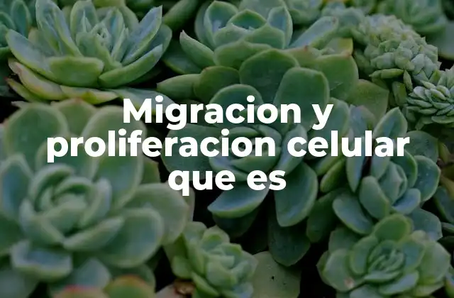 Migracion y Proliferacion Celular que es