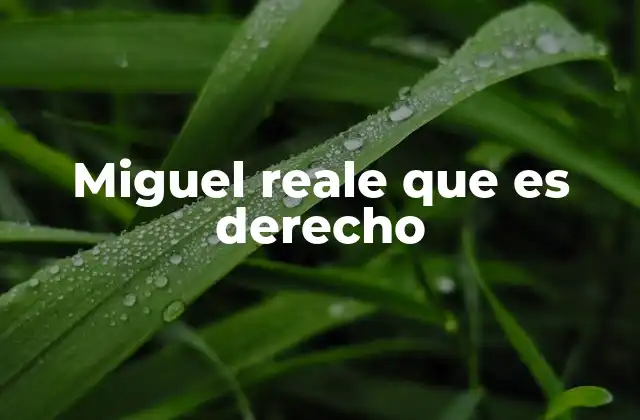 Miguel Reale que es Derecho