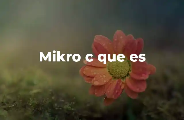 Mikro C que es