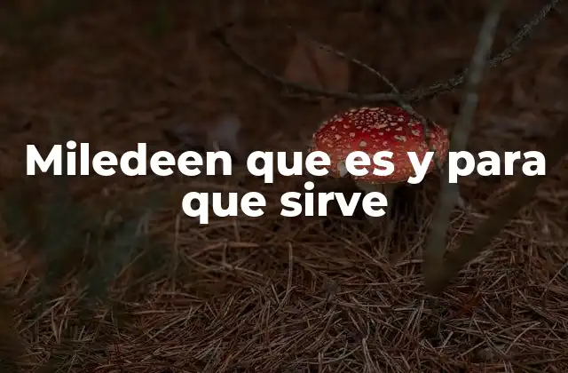 Miledeen que es y para que Sirve