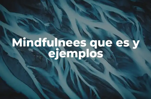Mindfulnees que es y Ejemplos