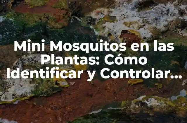 ¿Qué son los Mini Mosquitos en las Plantas?
