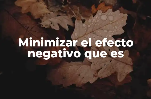 Minimizar el Efecto Negativo que es